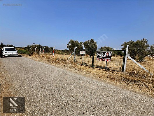 Kemalpaşa Bağyurdu Satılık 5650 m2 Bahçe - İZMİR KEMALPAŞA fotoğraf 13