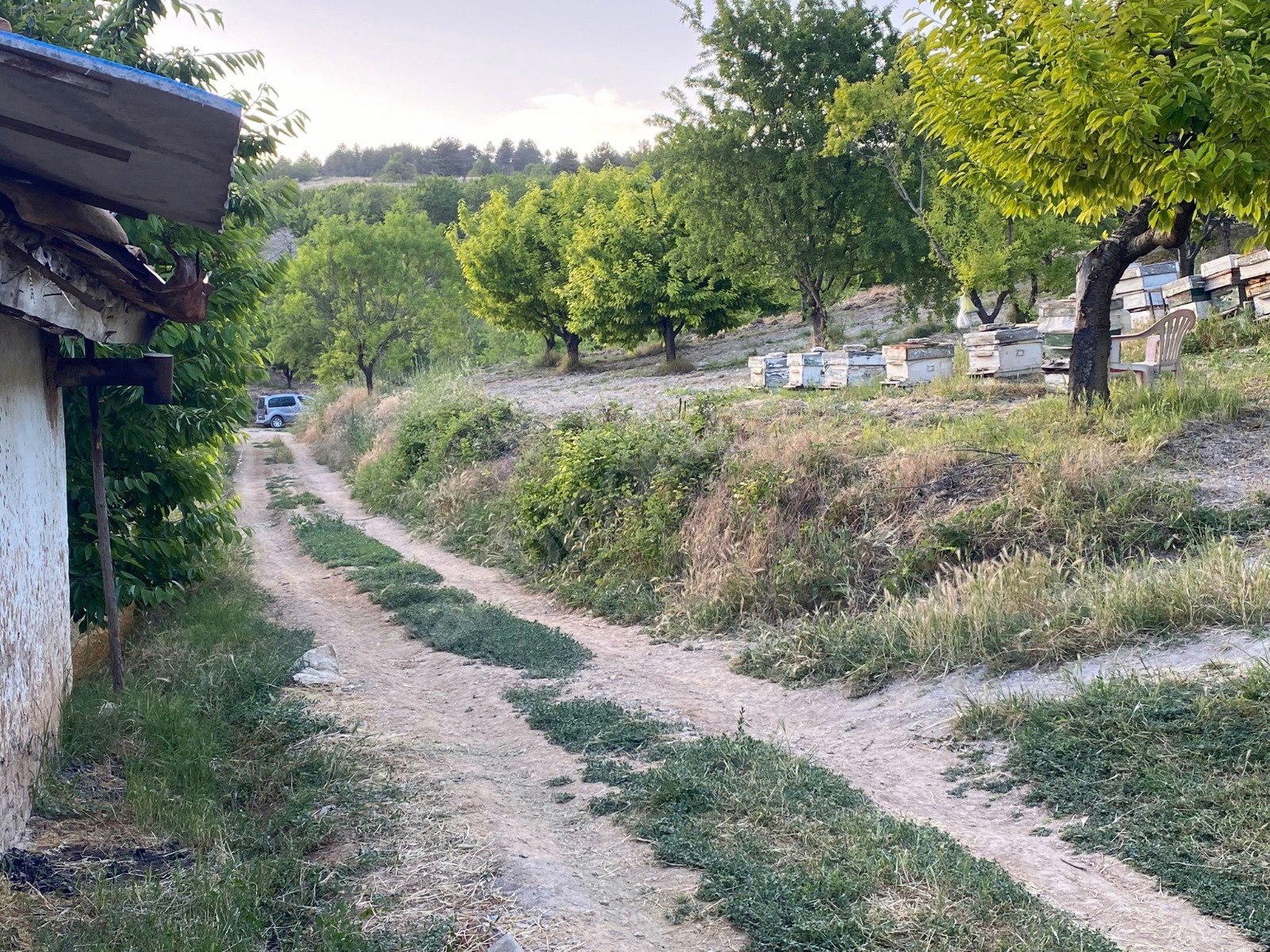 BURSA KELEŞ BELENÖREN'DE 11.691  M² BAHÇE SATILIKTIR - BURSA KELES fotoğraf 6