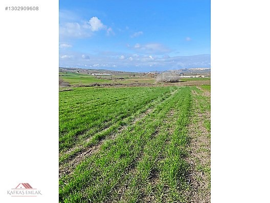 BOĞAZKÖYDE İMAR SINIRINDA 17.700M2 TARLA - BURSA MUSTAFAKEMALPAŞA fotoğraf 8