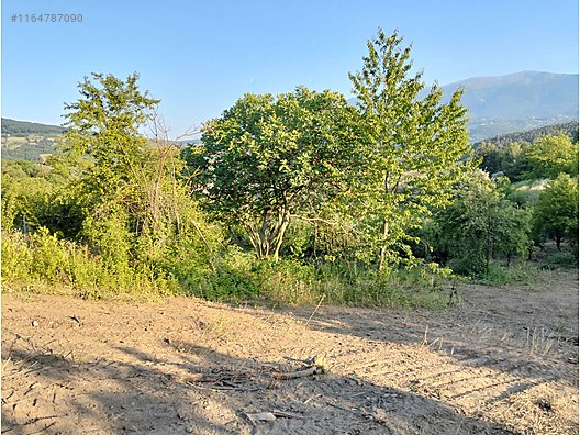 BURSA KESTEL AKSU KÖYÜNDE 2.059 M² TARLA SATILIKTIR - BURSA KESTEL fotoğraf 9