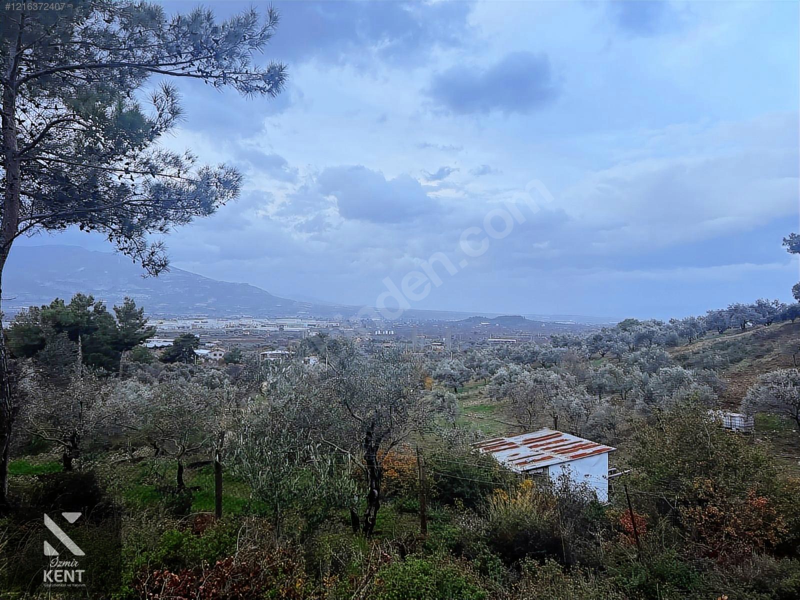 Kemalpaşa Armutlu Hürriyet Mah. Satılık 1.950 m2 Bahçe - İZMİR KEMALPAŞA fotoğraf 39
