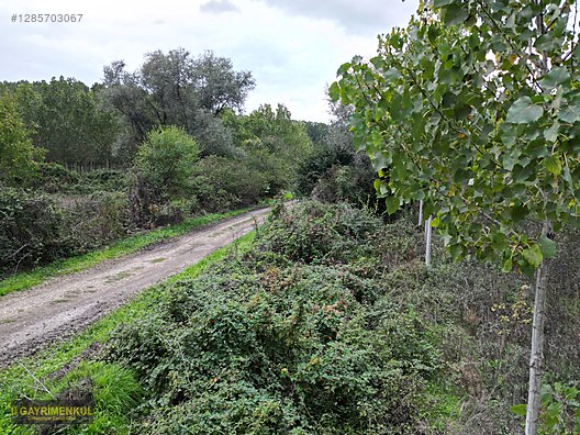 YATIRIM FIRSATI! ERENLER/ŞEYHKÖY MAH. 24.620 M² - SAKARYA ERENLER fotoğraf 6