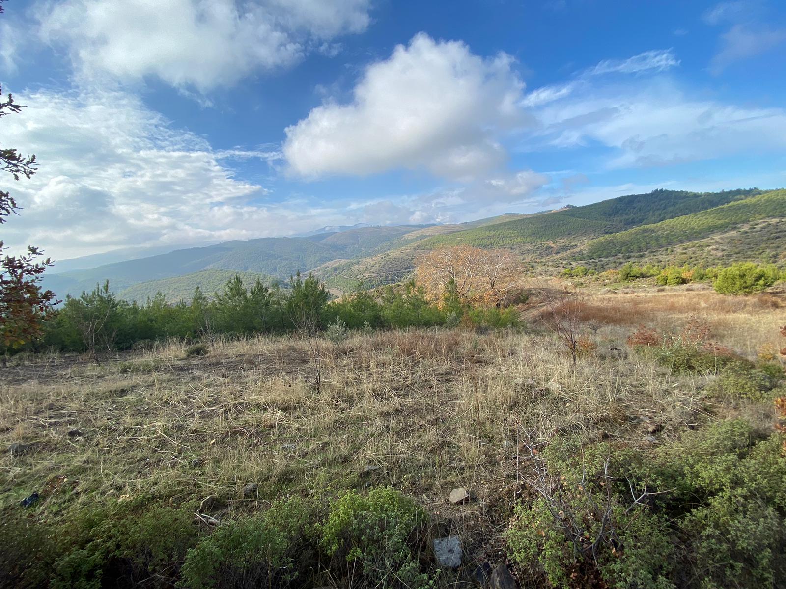 Manisa Yunusemre Büyüksümbüller Mah. Satılık Tarla - MANİSA YUNUSEMRE fotoğraf 16