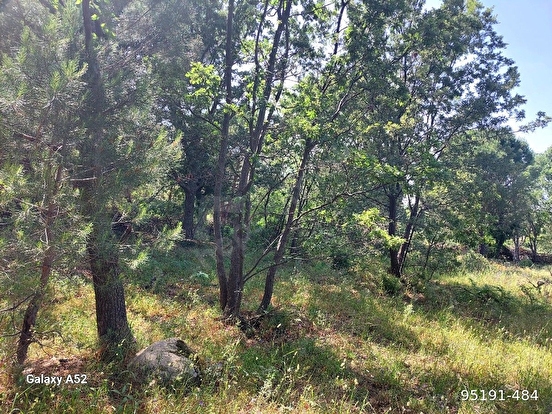 BERGAMA KOZAK YAYLASI AŞAĞIBEY MAH DE 1100 M2 BAĞ - İZMİR BERGAMA fotoğraf 4