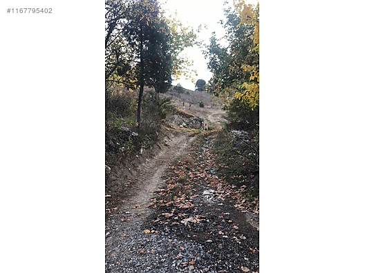 ASFALT YOLA CEPHELİ YATIRIMLIK 11 DÖNÜM - BURSA BÜYÜKORHAN fotoğraf 10