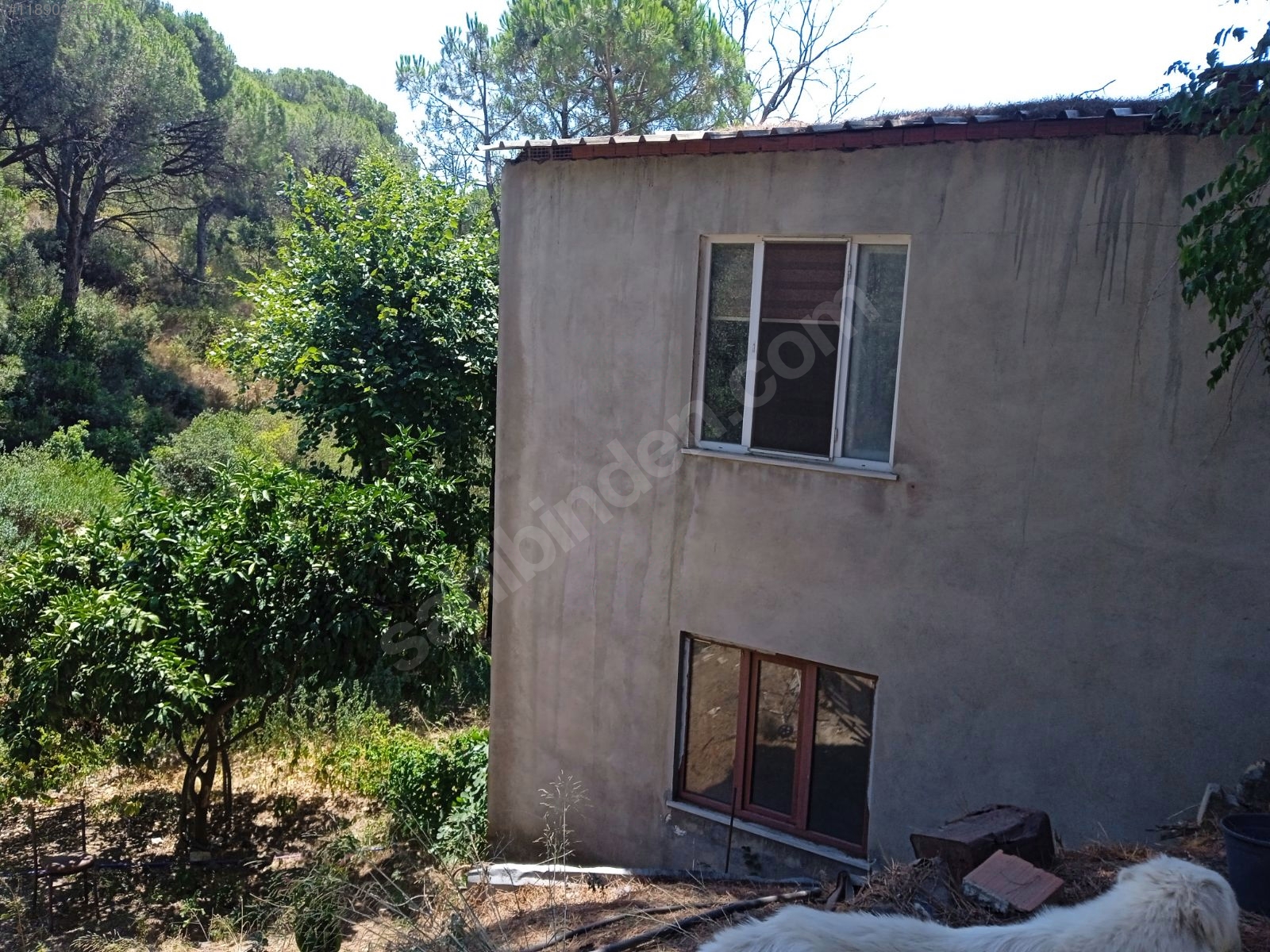 satılık 1.5 dönüm arsa 2 katlı ev doğa içinde deniz manzaralı - BURSA GEMLİK fotoğraf 9