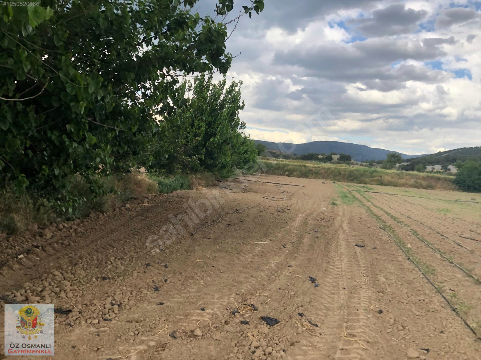 600 M2 NEHİR KENARI RESMİ YOLU OLAN MERKEZE YAKIN TARLA - BİLECİK OSMANELİ fotoğraf 12