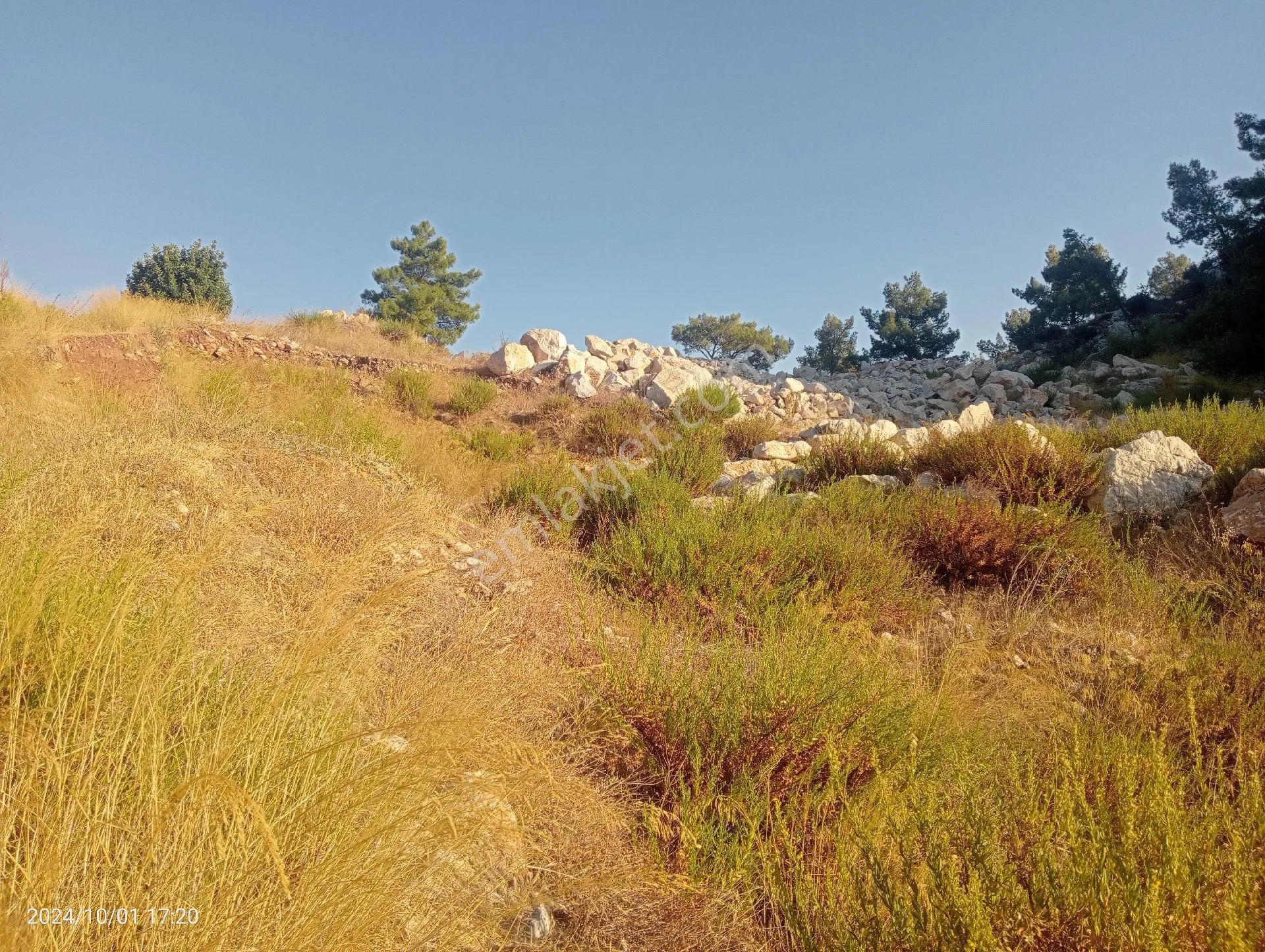 Antalya Kumluca Mavikent'te Satılık Tarla İnceoğlu Emlak - ANTALYA KUMLUCA fotoğraf 33