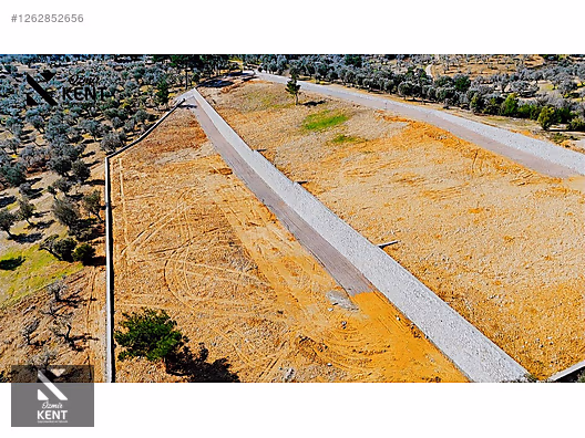 Kemalpaşa Ansızca Satılık 1406 m2 Bahçe - İZMİR KEMALPAŞA fotoğraf 47