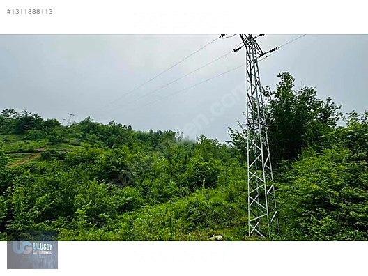 14 DÖNÜM TEK TAPU - BARTIN MERKEZ fotoğraf 5