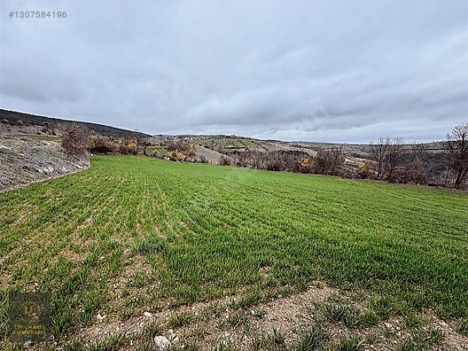 SAMSUN VEZİRKÖPRÜ ÇAMLIDERE'DE 6.670 M2 UYGUN ARSA - SAMSUN VEZİRKÖPRÜ fotoğraf 14