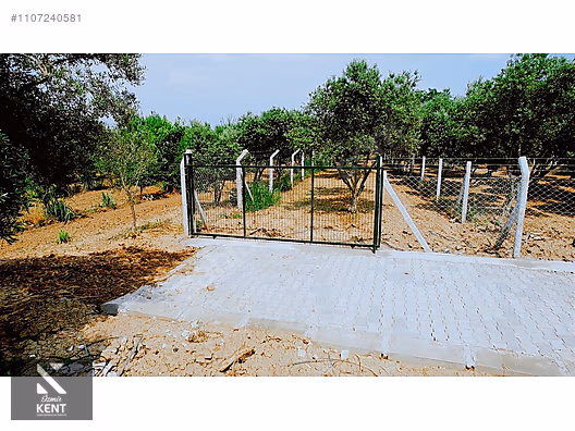 Kemalpaşa Aşağıkızılca Satılık Bahçe 1.200 m2 Tek Tapu - İZMİR KEMALPAŞA fotoğraf 20