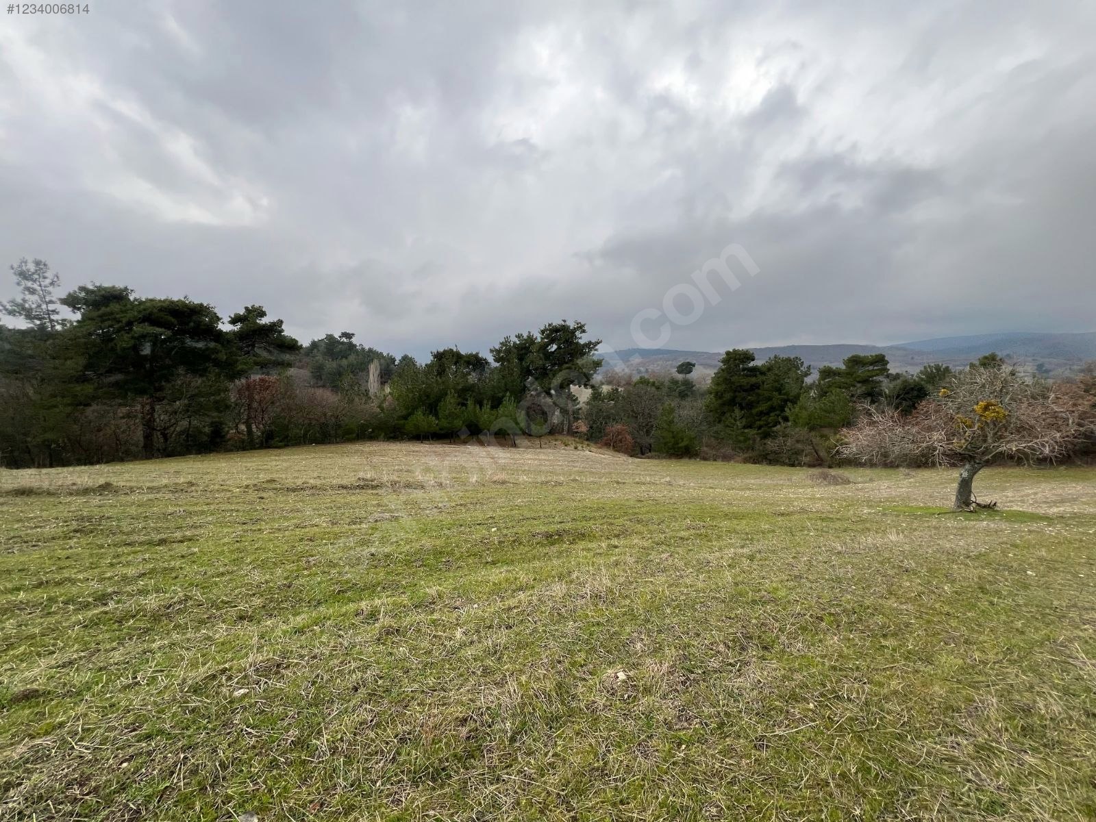 BALIKESİR İVRİNDİ BOZÖREN KÖYÜNDE 2.600 M² TARLA  SATILIKTIR - BALIKESİR İVRİNDİ fotoğraf 15