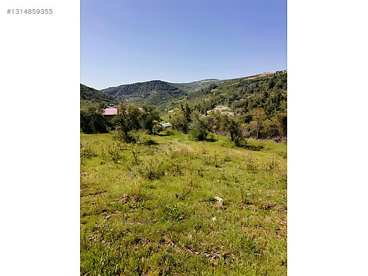 PANORAMİK MANZARALI YATIRIMLIK ZEYTİNLİK - HATAY YAYLADAĞI fotoğraf 10