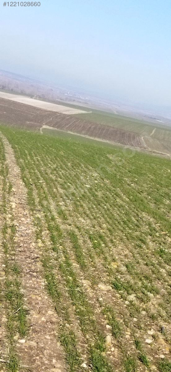 EDİRNE LALAPAŞA ORTAKÇI KÖYÜ'NDE  22.750 M² TARLAMIZ SATILIKTIR - EDİRNE LALAPAŞA fotoğraf 7