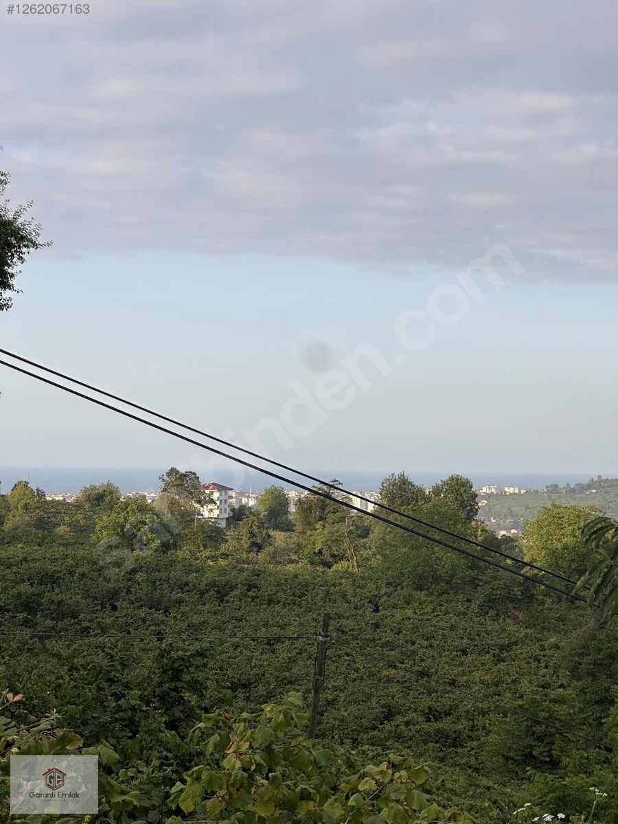 TERZİLİDE 300m2 SATILIK BAHÇE - ORDU ALTINORDU fotoğraf 5