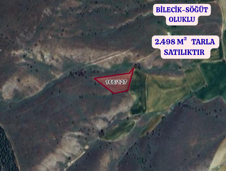 BİLECİK SÖĞÜT  OLUKLU  KÖYÜNDE  2.498  M²  TARLA  SATILIKTIR - BİLECİK SÖĞÜT fotoğraf 2