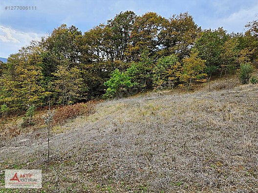 İZMİT NEBİHOCA MAHALLESİNDE SATILIK 2.994 m² MÜSTAKİL TARLA - KOCAELİ İZMİT fotoğraf 3
