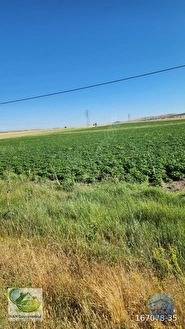 🚨 KÜTAHYA'DA ANAYOLA CEPHELİ 6.152 M² VERİMLİ TARLA 🚨 - KÜTAHYA MERKEZ fotoğraf 43
