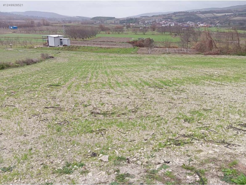 BURSA KARACABEY ÇAMLICA KÖYÜNDE 2.250  M² TARLA SATILIKTIR - BURSA KARACABEY fotoğraf 7