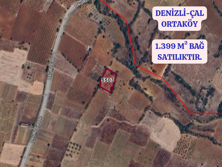 DENİZLİ ÇAL ORTAKÖY  KÖYÜNDE 1.399 M² BAĞ  SATILIKTIR - DENİZLİ ÇAL fotoğraf 2