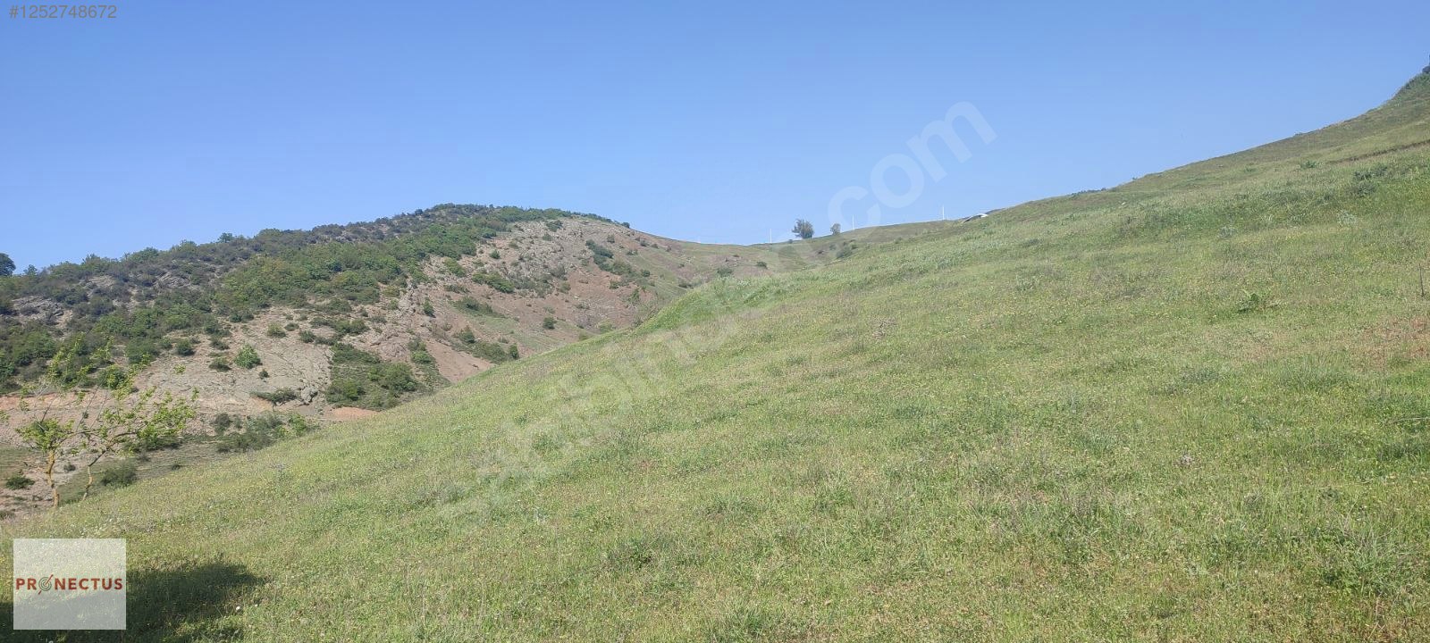 FULACIK MAHALLESİ'NDE RESMİ YOLA CEPHE SATILIK 3516 M2 ARSA - KOCAELİ KARAMÜRSEL fotoğraf 10