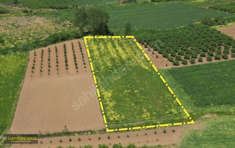 YATIRIM FIRSATI 3.962 M² TARLA FERİZLİ SARIAHMETLER MAH. - SAKARYA FERİZLİ fotoğraf 2