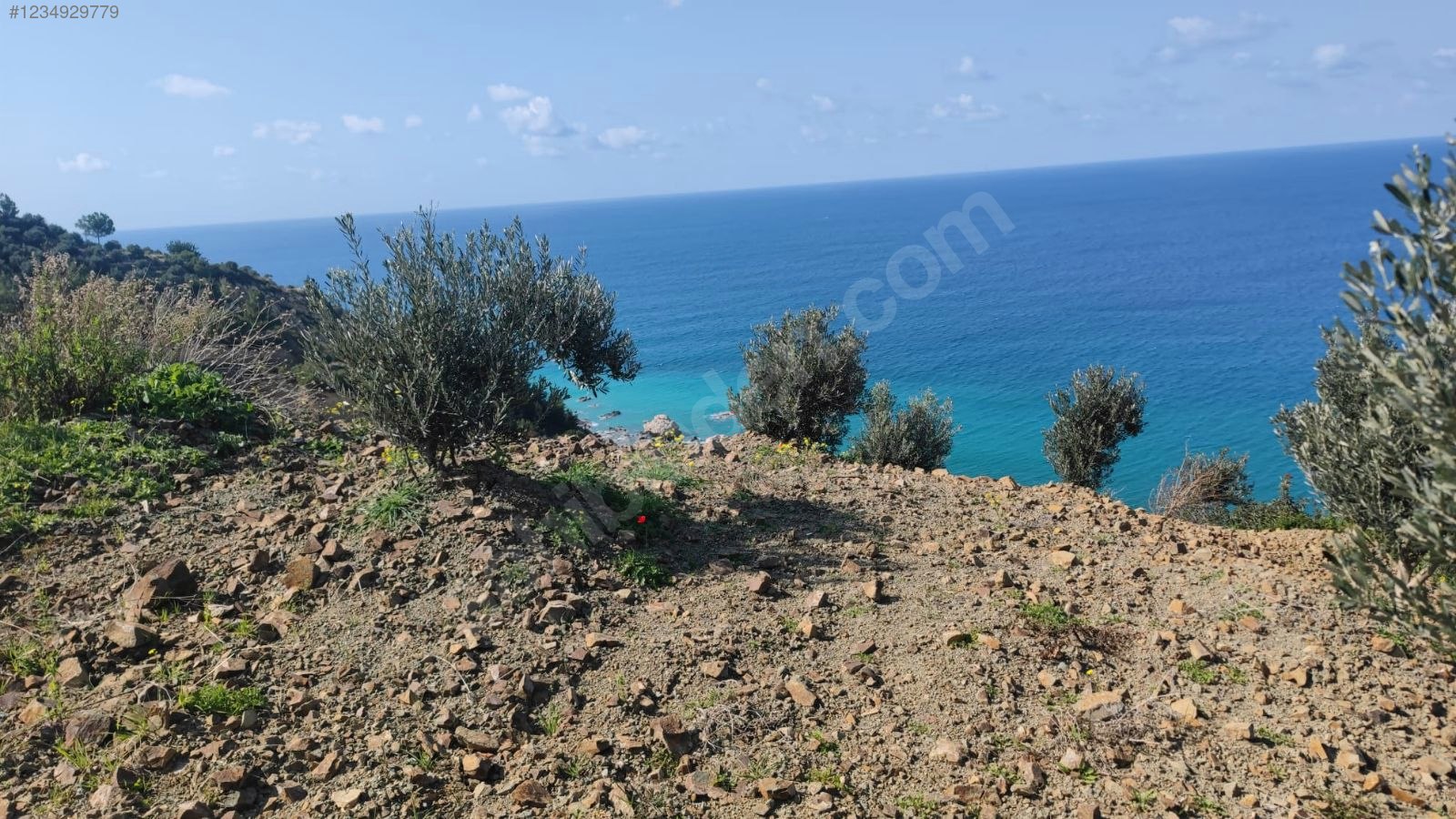 ARSUZDA DENİZE SIFIR ACİL SATILIK ARSA  1.500 M² Hatay / Arsuz / Işıklı Mh. - HATAY ARSUZ fotoğraf 3