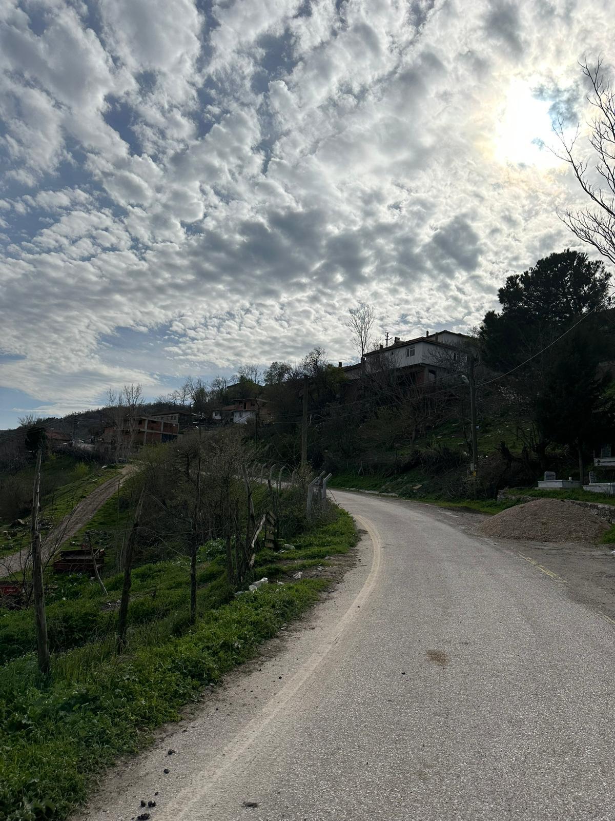 BALIKESİR ALTIEYLÜL DEDEBURNU   KÖYÜNDE 1.969  M²  TARLA  SATILIKTIR - BALIKESİR ALTIEYLÜL fotoğraf 17