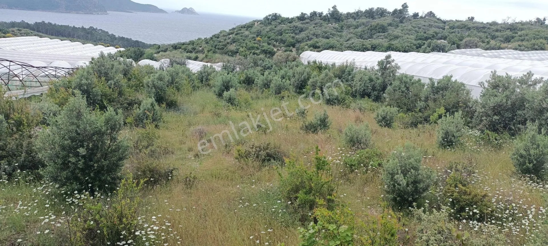 Kumluca Yenicepınar Da Deniz Manzaralı Satılık Arsa-tarla - ANTALYA KUMLUCA fotoğraf 19