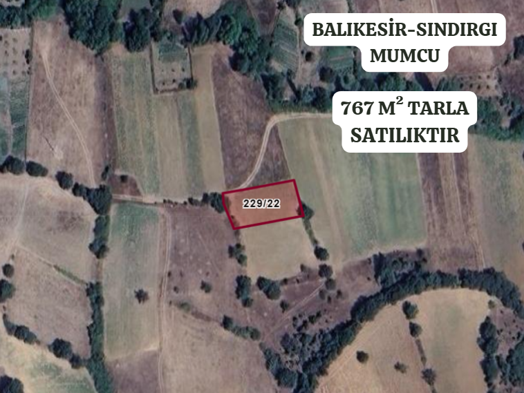 BALIKESİR SINDIRGI MUMCU   KÖYÜNDE 767 M² TARLA  SATILIKTIR - BALIKESİR SINDIRGI fotoğraf 2