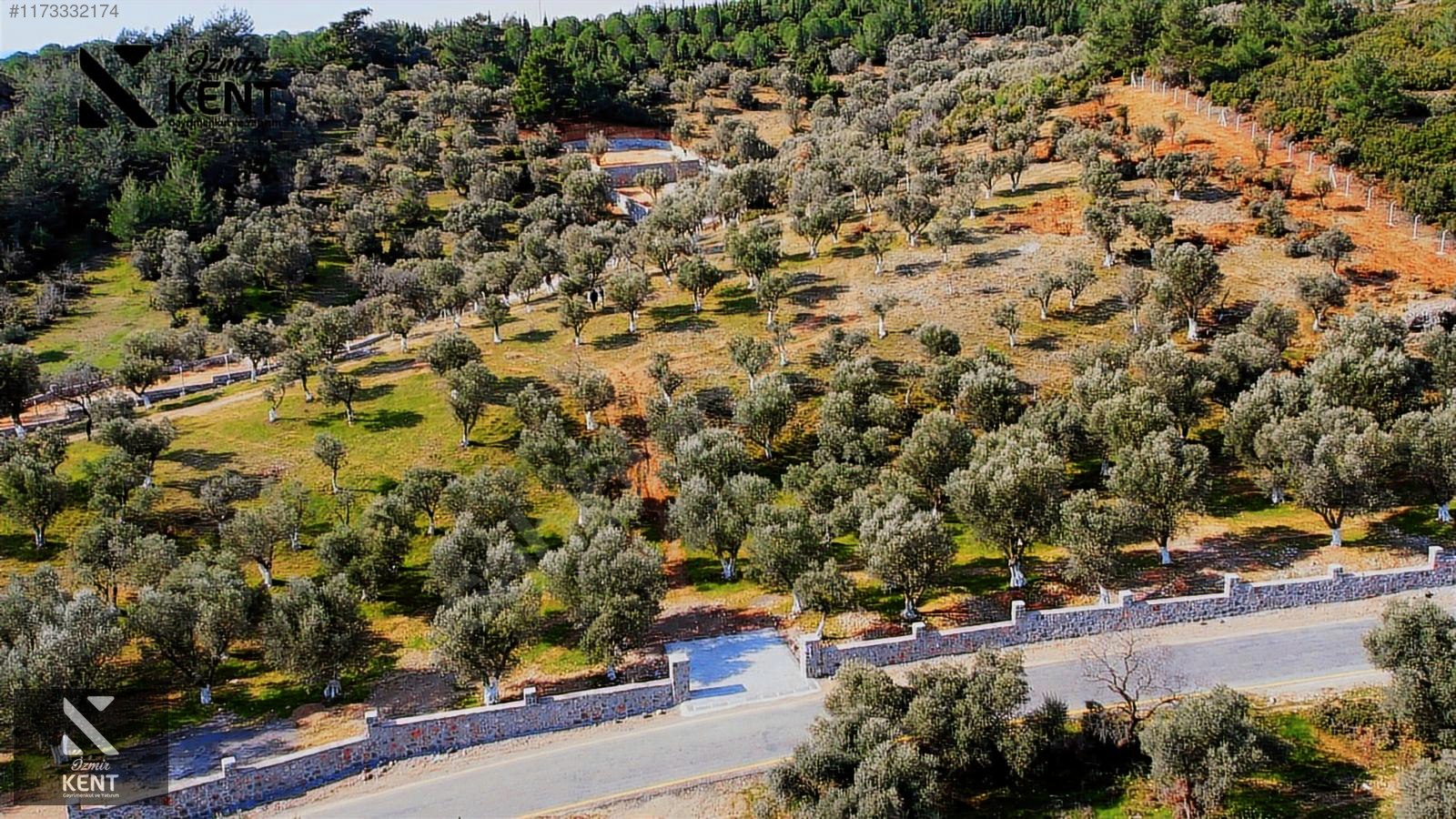 Kemalpaşa Sütçüler Satılık 11.398 m2 Bahçe - İZMİR KEMALPAŞA fotoğraf 33