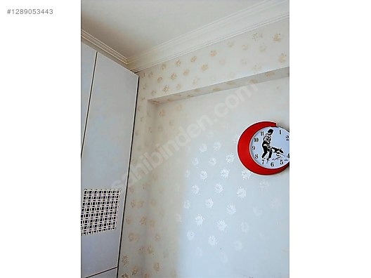 TİREBOLU BEGİLA EVLERİ YENİKÖY 'DE SATILIK 3+1DAİRE - GİRESUN TİREBOLU fotoğraf 3