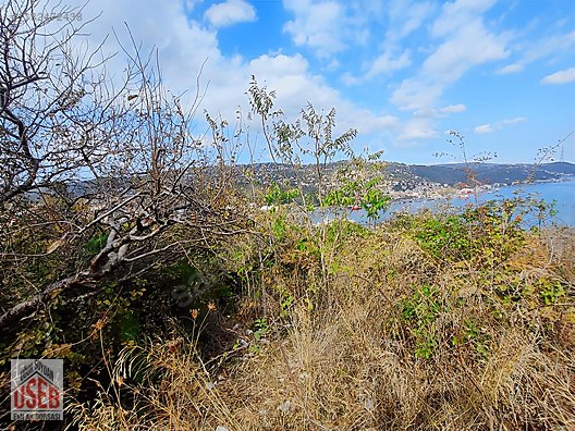 Sarıyer Tarabya 216m2 Arsa Deniz, Köprü Manzaralı İmarlı Değil - İSTANBUL SARIYER fotoğraf 7