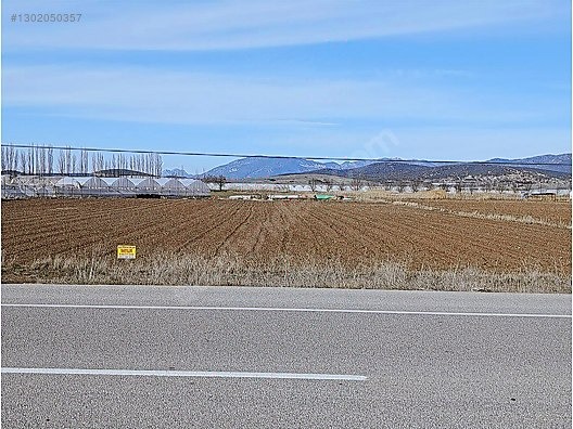 GÜLTEKİN EMLAKTAN YAMADIDA ÇAVDIR YOLU ÜZERİNDE SATILIK TARLA - BURDUR GÖLHİSAR fotoğraf 5