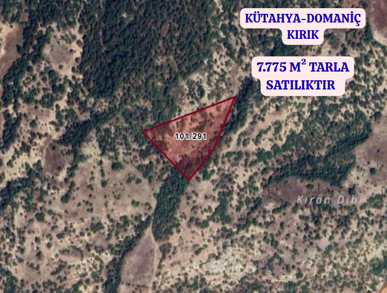 KÜTAHYA DOMANİÇ KIRIK  KÖYÜNDE 7.775 M² TARLA SATILIKTIR - KÜTAHYA DOMANİÇ fotoğraf 2