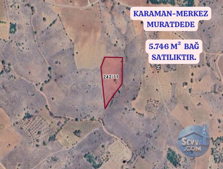 KARAMAN MERKEZ MURATDEDE KÖYÜNDE 5.746 M² ÜZÜM BAĞI SATILIKTIR - Karaman Merkez fotoğraf 2