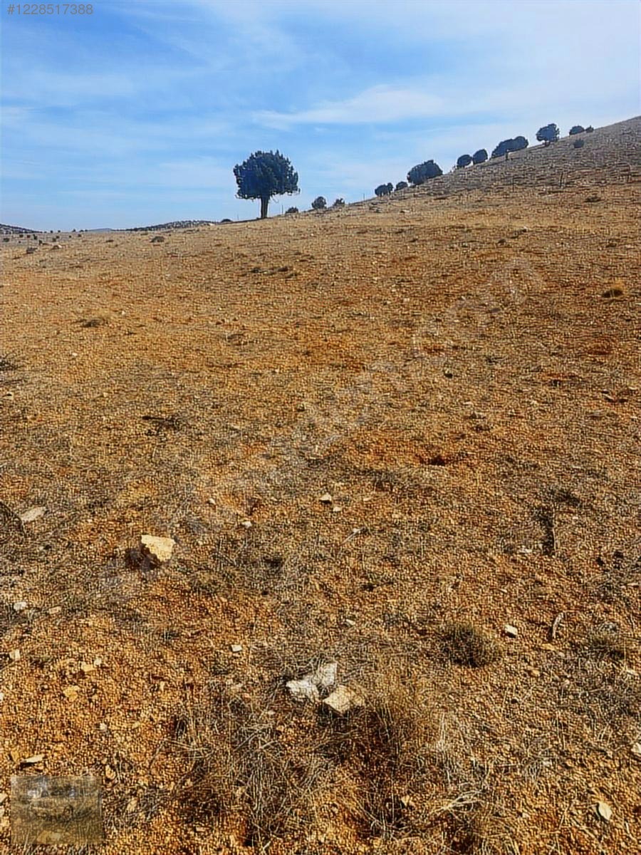 acil.Korkuteli sımandırda.sanayi arsalarına komşu2382m tarla - ANTALYA KORKUTELİ fotoğraf 11