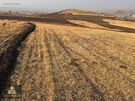 Satılık Yatırımlık TEK TAPU ANA YOLA YAKIN Osmaniye Mahallesi - ANKARA SİNCAN fotoğraf 10