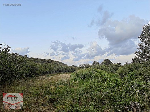 SAKARYA KARASU'DA SATILIK FRSAT KÖY İÇİNDE 635 metre² KUPON ARSA - SAKARYA KARASU fotoğraf 32