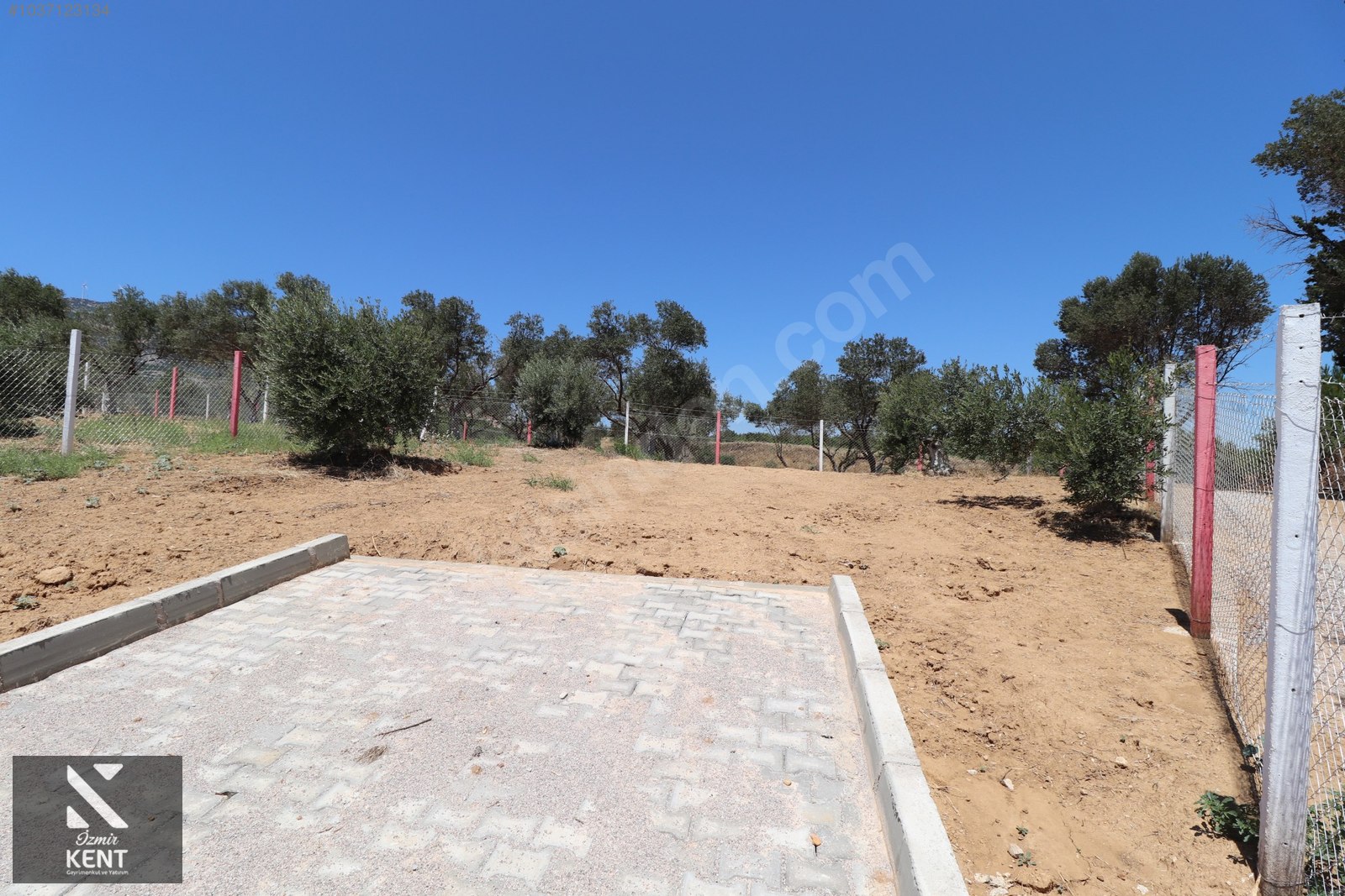 Kemalpaşa Çambel Satılık Bahçe 382 m2 - İZMİR KEMALPAŞA fotoğraf 21