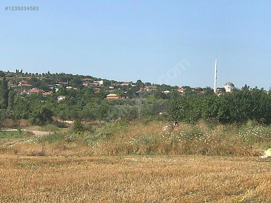 BURSA KARACABEY HARMANLI KÖYÜNDE 2.500  M² TARLA SATILIKTIR - BURSA KARACABEY fotoğraf 7