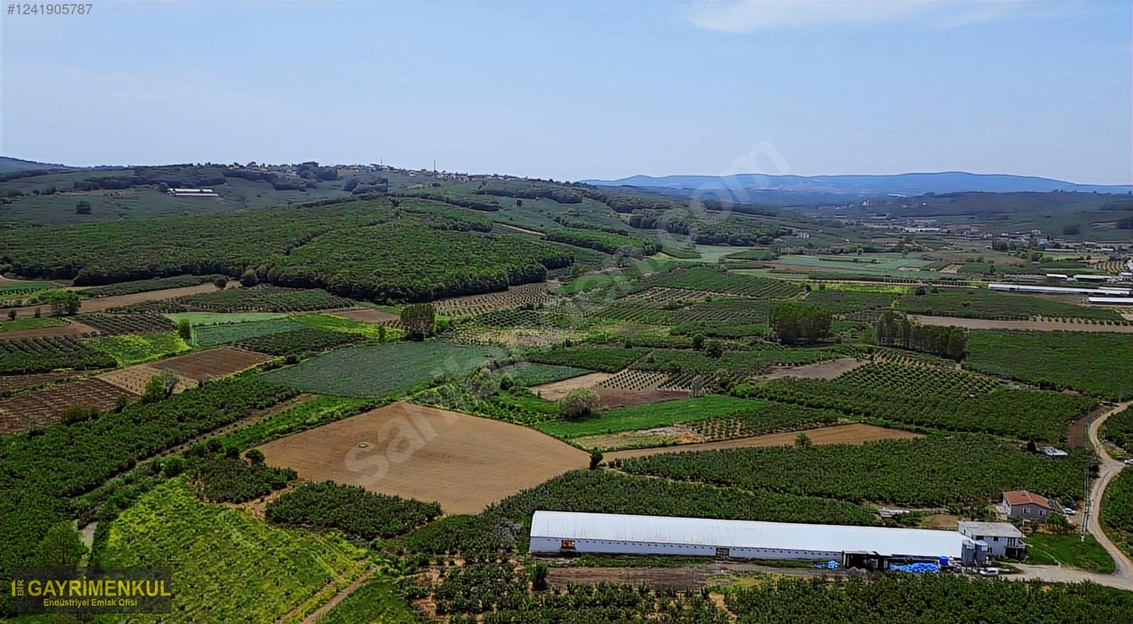 11.752 M² FIRSAT FINDIK BAHÇESİ SAKARYA KAYNARCA ZİAHMET MAH. - SAKARYA KAYNARCA fotoğraf 37