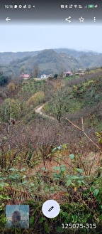 perşembe Ortatepe köyünde üzerinde ev olan 7000m2 fındık bahçeli arazi satılık - ORDU PERŞEMBE fotoğraf 9