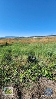 🚨 KÜTAHYA'DA ANAYOLA CEPHELİ 6.152 M² VERİMLİ TARLA 🚨 - KÜTAHYA MERKEZ fotoğraf 31