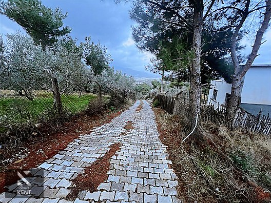 Kemalpaşa Armutlu Hürriyet Mah. Satılık 1.950 m2 Bahçe - İZMİR KEMALPAŞA fotoğraf 6