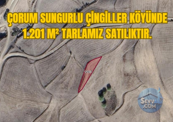 ÇORUM SUNGURLU ÇİNGİLLER KÖYÜNDE 1.201 M² TARLAMIZ SATILIKTIR. - Çorum Sungurlu fotoğraf 4