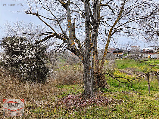 Fiyat düştü Karasu Taşlıgeçit'te 329m² Satılık Konut İmarlı Arsa - SAKARYA KARASU fotoğraf 2