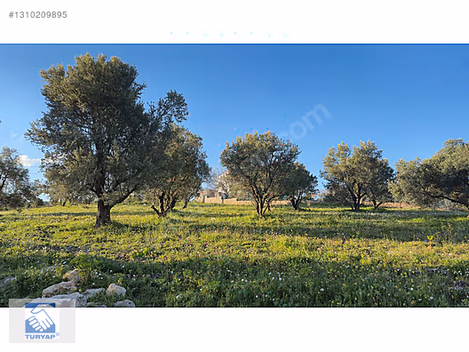 Kemalpaşa Ulucak Villalar Bölgesi Satılık Arazi - İZMİR KEMALPAŞA fotoğraf 23