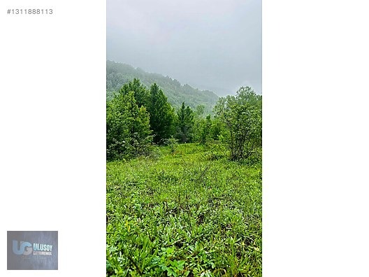 14 DÖNÜM TEK TAPU - BARTIN MERKEZ fotoğraf 20